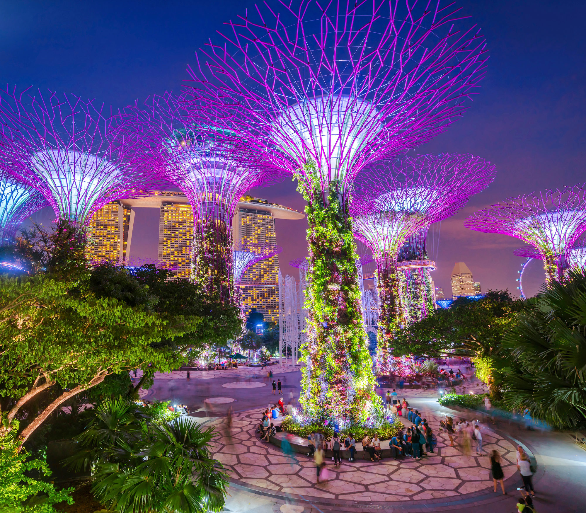 Singaporen Gardens by the Bay -puistossa on 25–50 metriä korkeita, puumaisia rakennelmia. Alueen nimi on Supertree Grove. Kuva: iStock